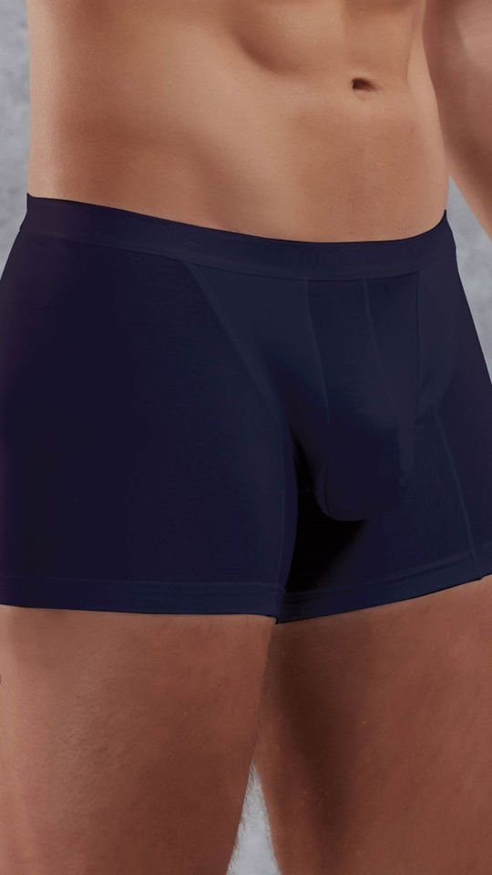 Erkek Modal Torbalı İnce Bel Bantlı Normal Paça Boxer 1770L