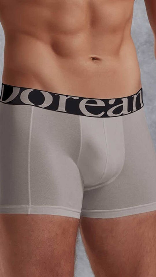 Erkek Modal Torbalı Normal Paça Boxer 1777 Füme