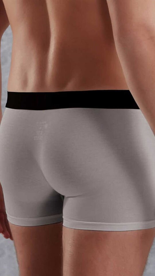 Erkek Modal Torbalı Normal Paça Boxer 1777 Füme