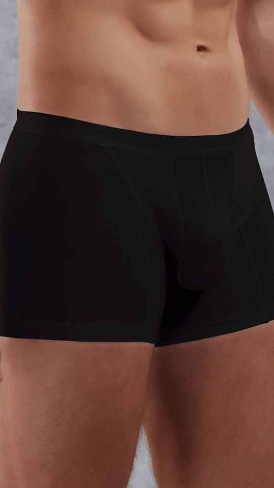 Erkek Modal Torbalı İnce Bel Bantlı Normal Paça Boxer 1770S