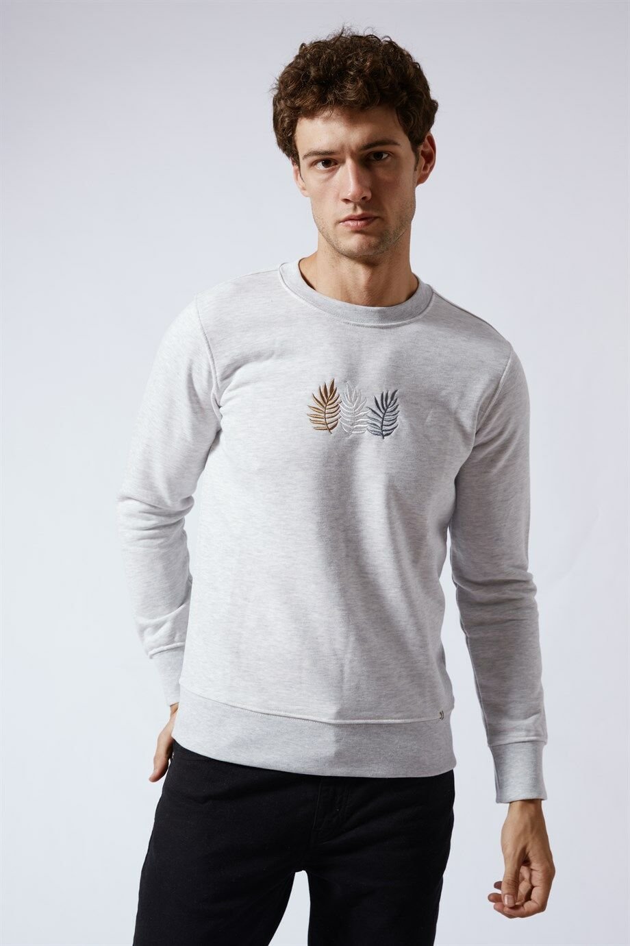 Bisiklet Yaka Slim Fit Nakışlı Sweatshirt Kar Melanj