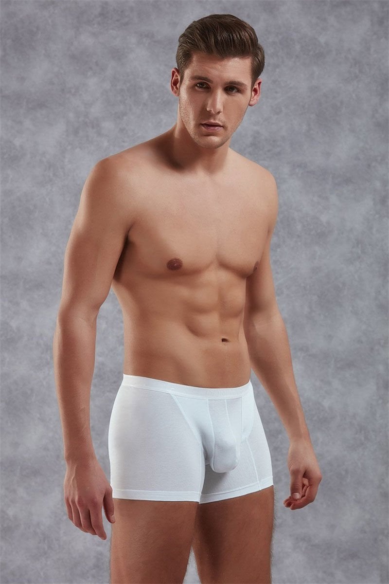 Erkek Modal Torbalı İnce Bel Bantlı Normal Paça Boxer 1770B