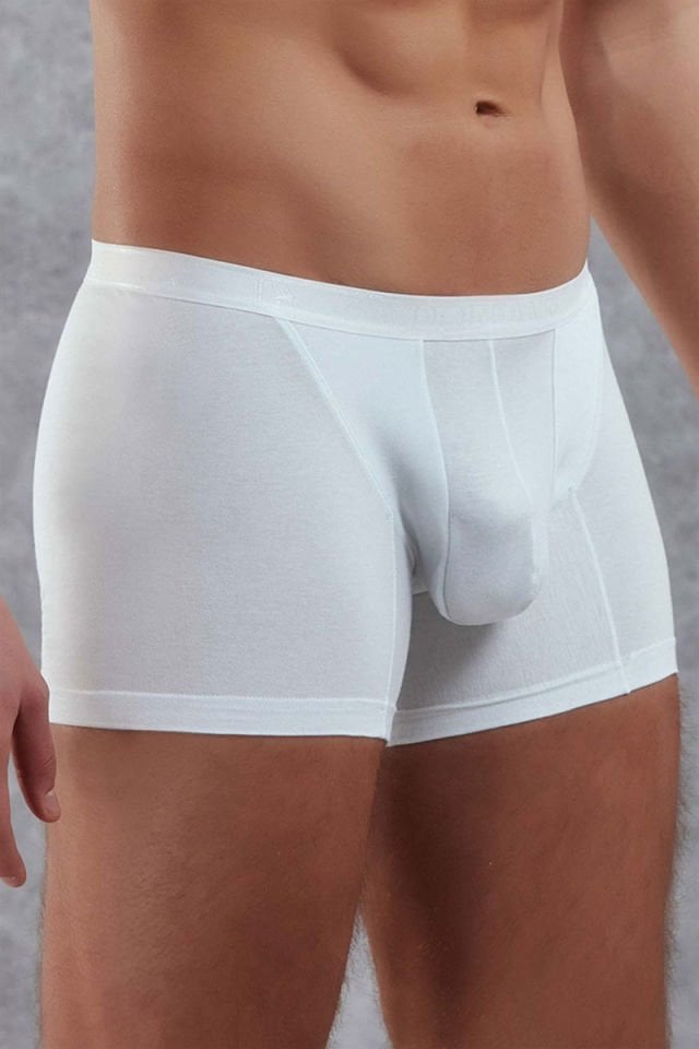 Erkek Modal Torbalı İnce Bel Bantlı Normal Paça Boxer 1770B