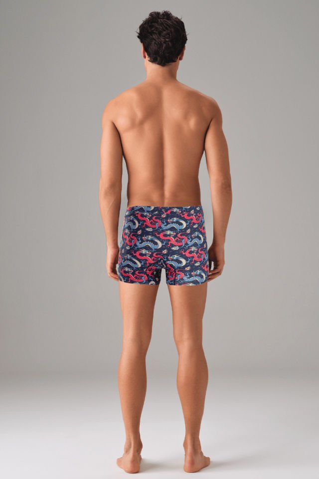 DOREANSE Erkek Renkli Ejderha Desenli Boxer 1857