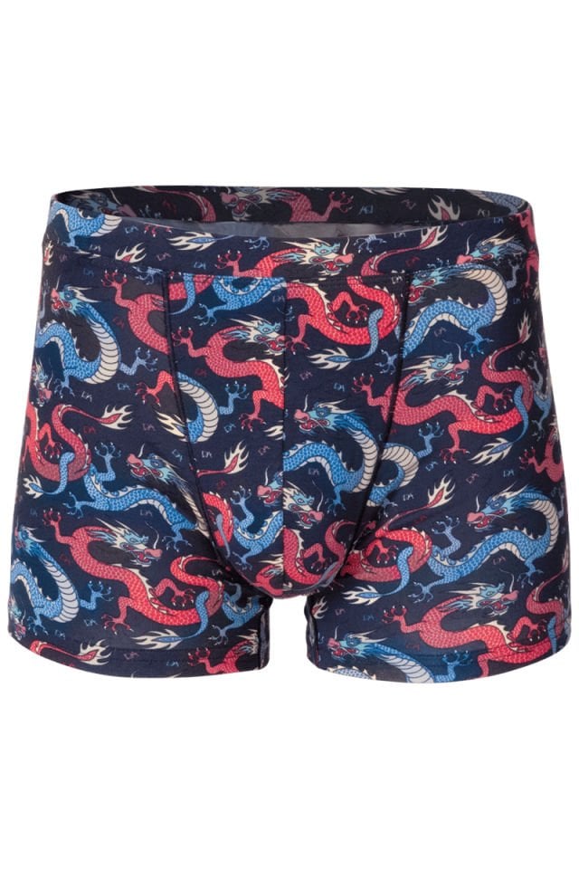 DOREANSE Erkek Renkli Ejderha Desenli Boxer 1857